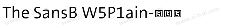 The SansB W5P1ain字体转换